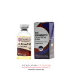 Kits 19 Zionova Testosterone 400