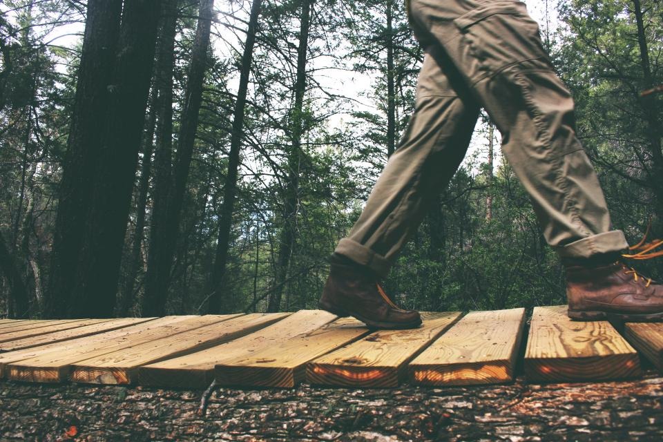 Man walking on a forest boardwalk