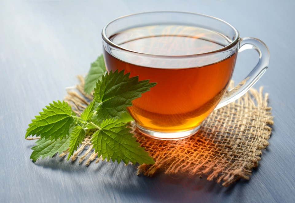 Cup of herbal tea with fresh mint