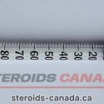 Kits 15 insulin syringe 30g u100