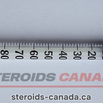 Kits 97 insulin syringe 30g u100