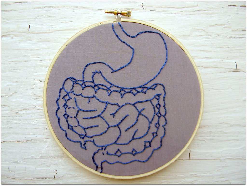 Embroidered illustration of the digestive system